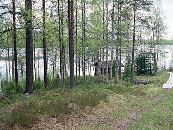 Mustikkainen in Kainuu
