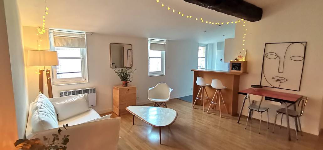 Hel lägenhet, Apartment 'calme et très central' in Bordeaux, Bordeaux region