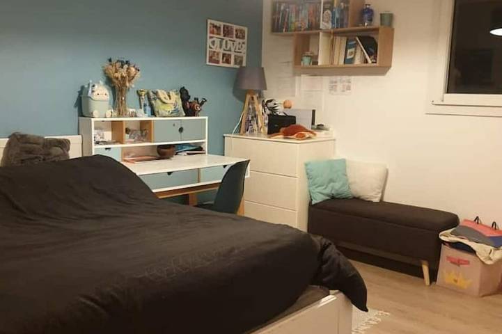 Location de vacances pour 10 personnes, avec jardin et jacuzzi à L'Haÿ-les-Roses - 4