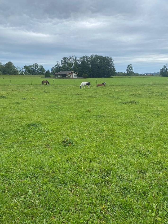 Ferienwohnung für 6 Personen, mit Garten