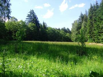 Ferienwohnung für 4 Personen, mit Garten und Balkon in Niederösterreich