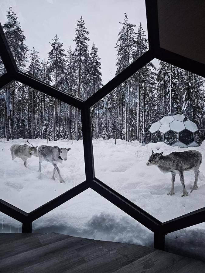 Chalet für 4 Personen, mit Whirlpool und Sauna sowie Garten, kinderfreundlich in Lappland (Schweden) - 2