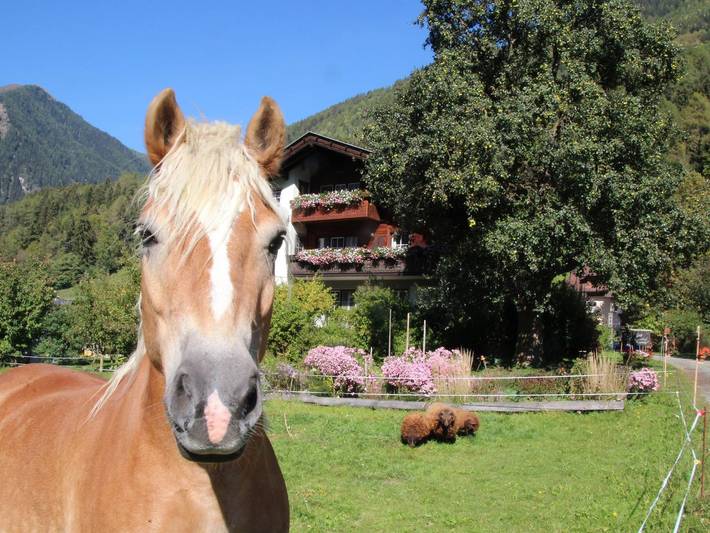 Ferienwohnung für 7 Personen, mit Balkon und Garten in Lieser-Maltatal