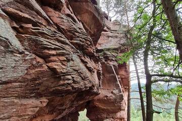 Ferienwohnung für 2 Personen, mit Haustier in Ludwigswinkel
