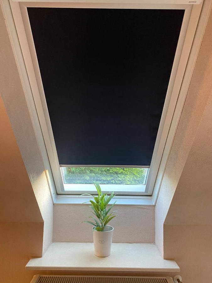 Gîte pour 4 personnes, avec jardin et vue, animaux acceptés à Bassum - 2