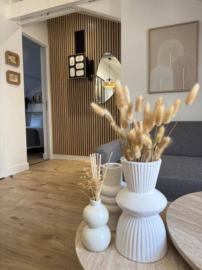 Appartement entier, Appartement charmant et cosy Encombe vineuse-Dabnb in Limoges, Région de Limoges