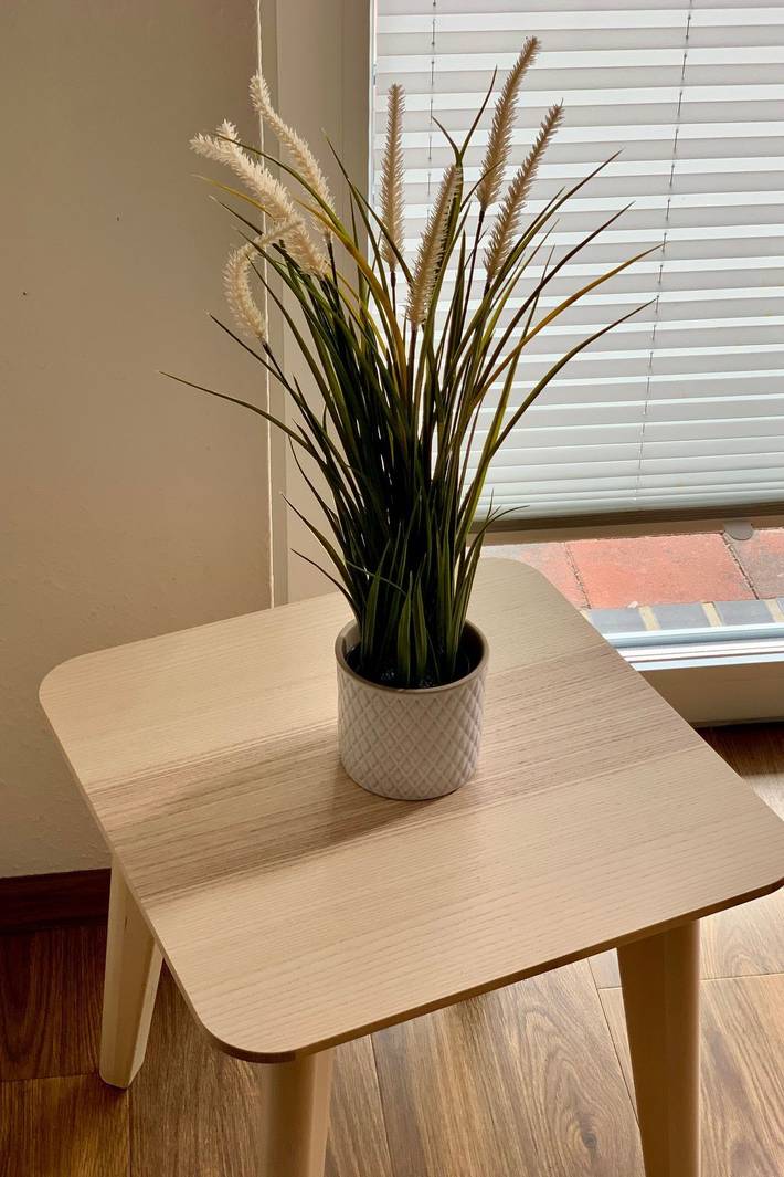 Ferienwohnung für 4 Personen, mit Haustier in Friesoythe - 4