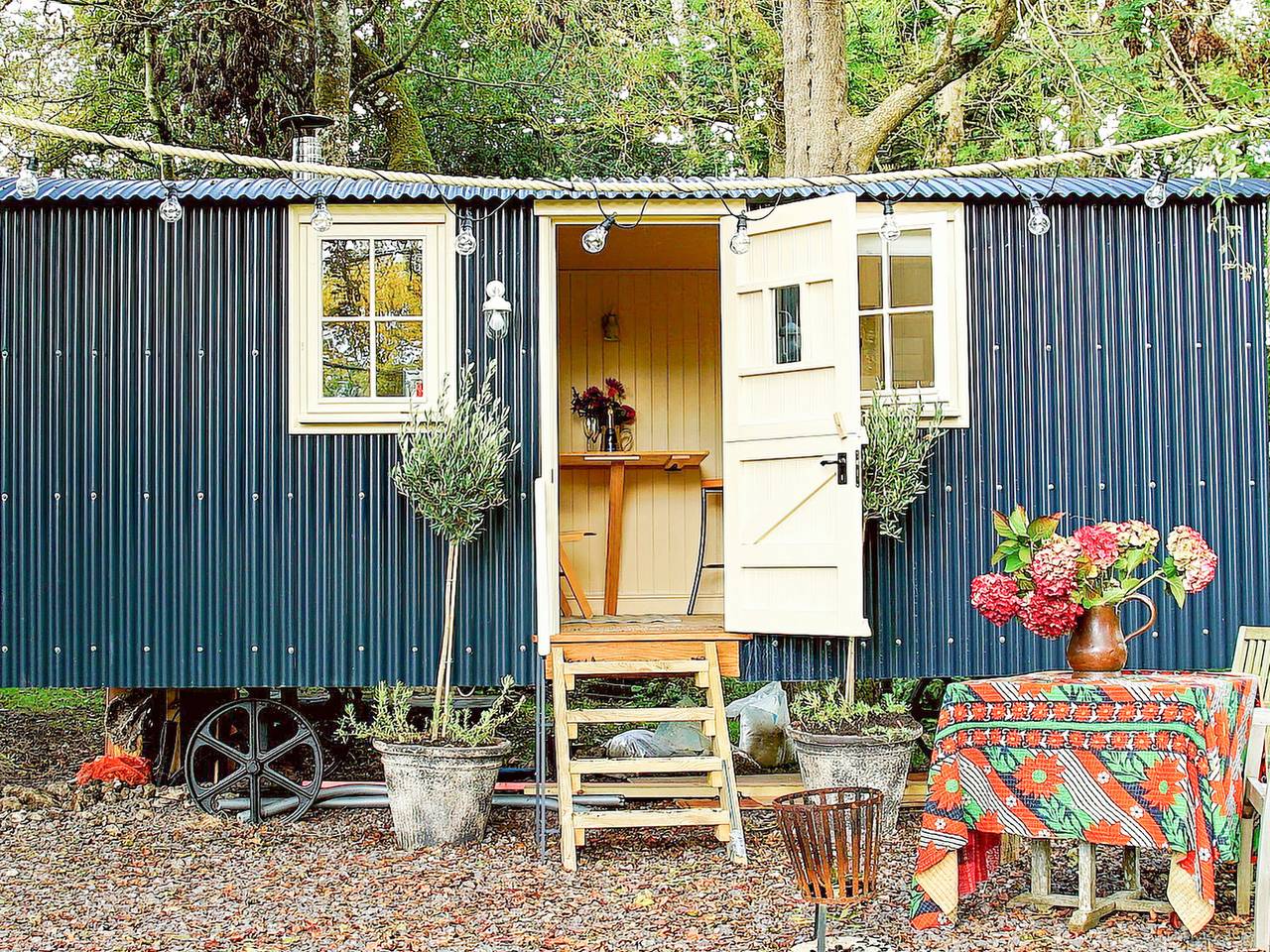 The Beech Hut in Dorset