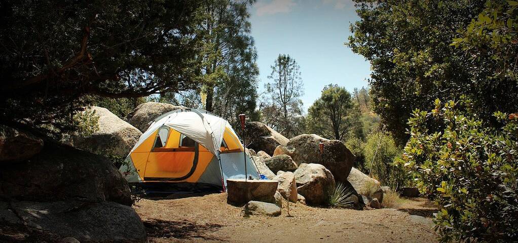 Log cabin for 3 people, with yard and terrace in Sequoia National Park