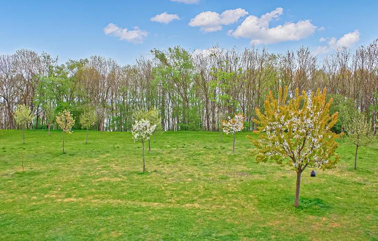 Ganze Ferienwohnung, Rückzugsort am Strand mit Terrasse und Parkplatz, 800 m zum Klink Beach in Klink, Müritz