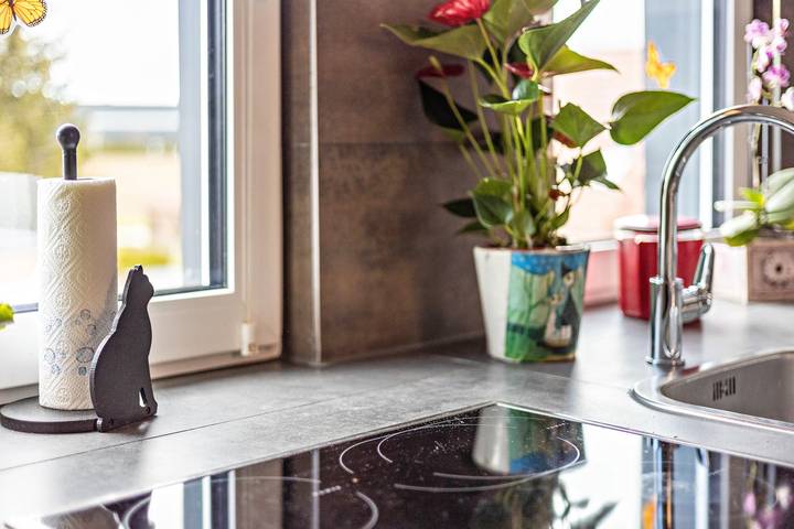Ganze Wohnung, Ferienwohnung "Elli" mit Bergblick, Gemeinschaftsgarten und Wlan in Aulendorf, Region Bodensee-Oberschwaben