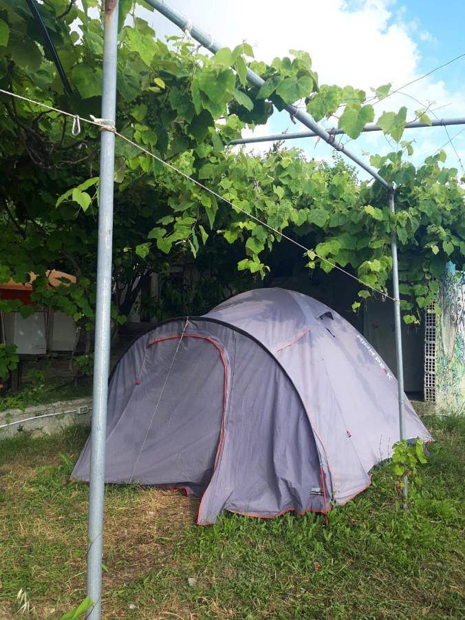 Camping Jungle in Borsh in Lukowa, Wlora