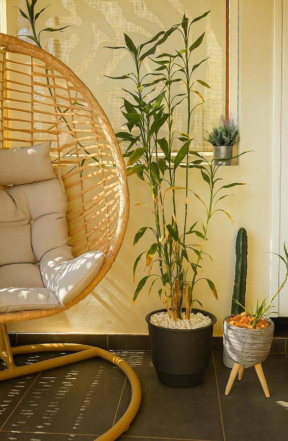 Gîte pour 2 personnes, avec balcon et vue dans Plage de Saint-Leu - 4