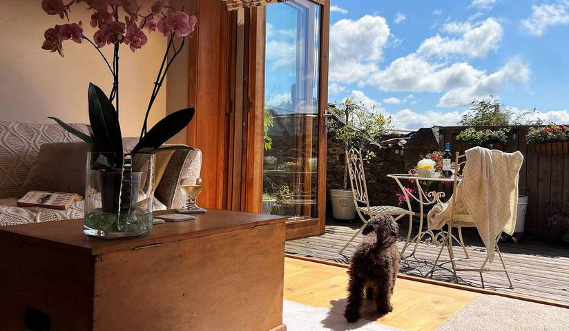Vakantiehuis voor 2 personen, met Terras en Tuin in Devon