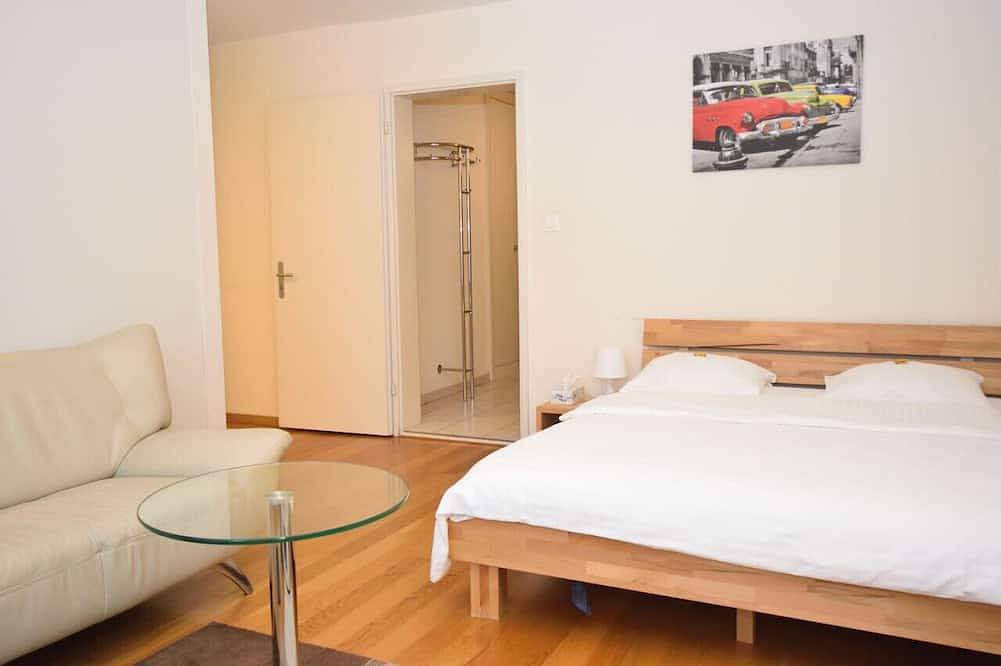 Entire apartment, Nice studio in the city center (Vineyard 11) in Zurich, Zurich district