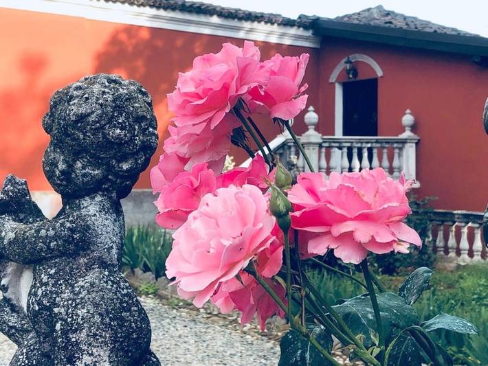 Gîte pour 2 personnes, avec jardin ainsi que vue et terrasse, animaux acceptés à Novi Ligure - 4