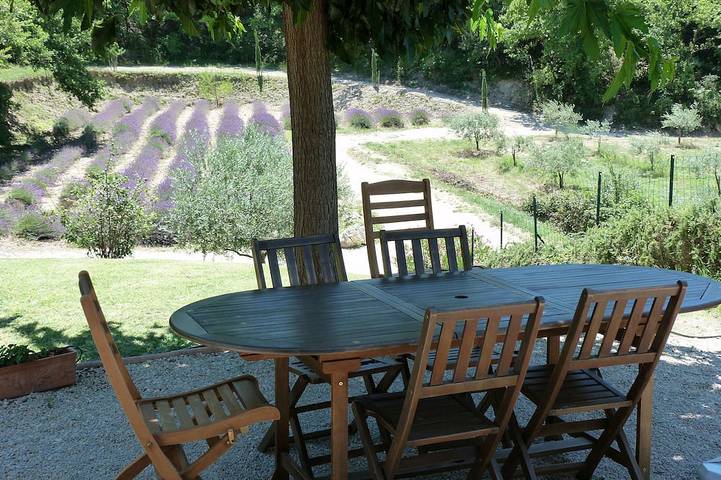 Holiday home for 5 people, with pool and garden as well as terrace - 1