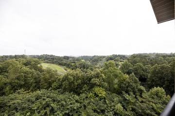 Vacation Apartment for 8 Guests in Pigeon Forge, Sevier County, Picture 3