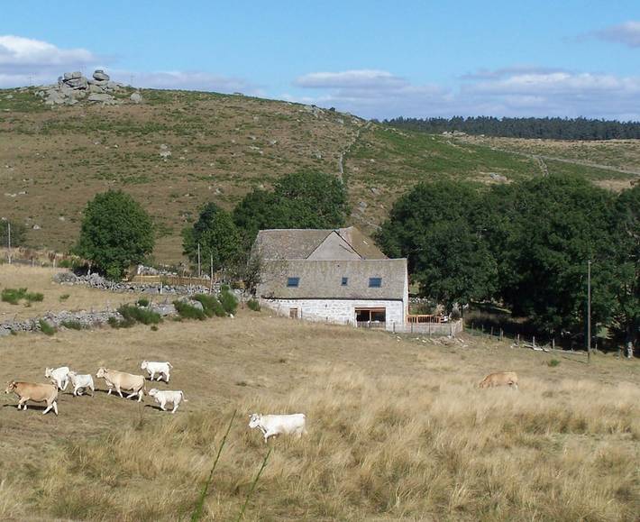 Gîte pour 9 personnes, avec terrasse ainsi que sauna et jardin dans Prinsuéjols