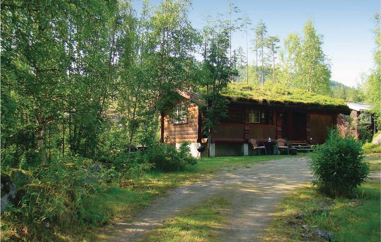 Ferienhaus für 4 Personen, mit Terrasse in Telemark - 3
