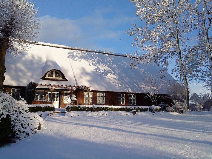 Bauernhof für 3 Personen, mit Garten und Terrasse, mit Haustier in Altes Land Stade - 2
