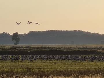 Ferienwohnung für 4 Personen in Ostseebad Binz, Binz, Bild 4