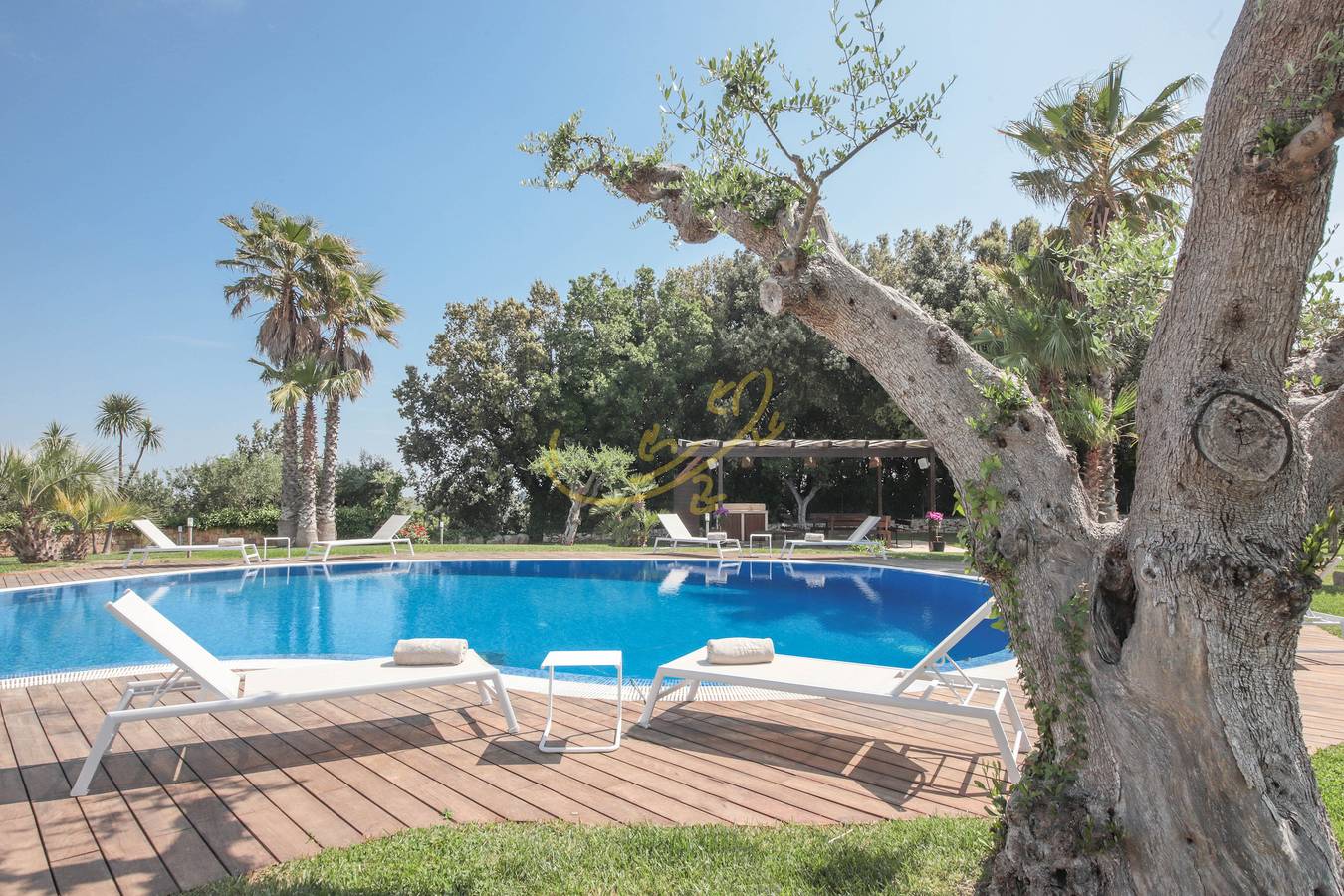 Td Trulli Bruco Large Pool for Family Fun in Monopoli, Provincia di Bari