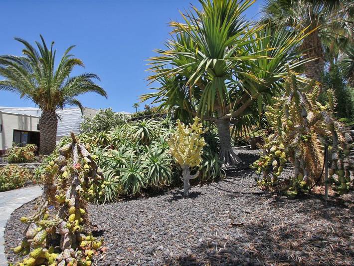 Bungalow für 2 Personen, mit Pool und Sauna sowie Garten auf La Palma - 3