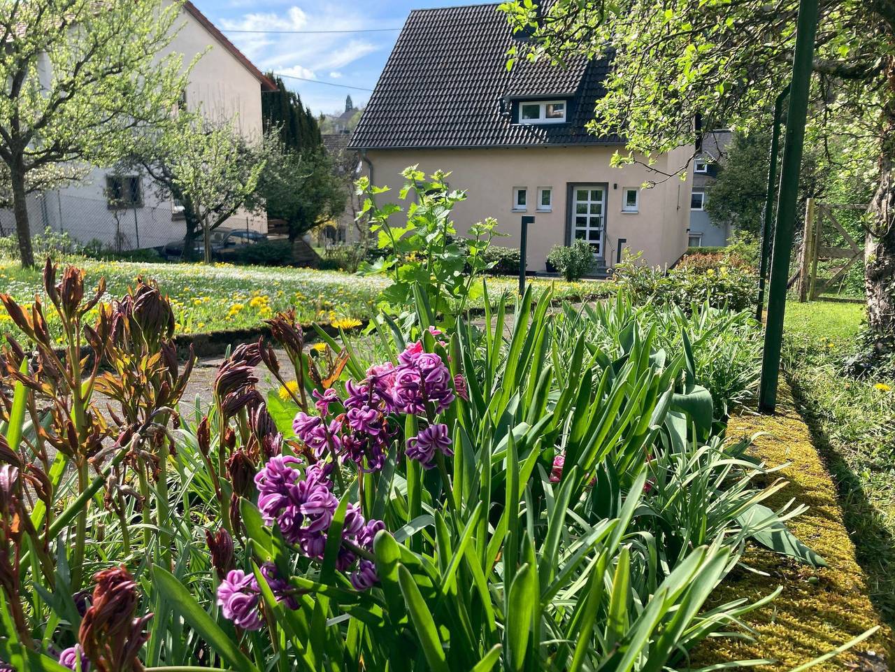 Ganze Ferienwohnung, Ferienhaus im Obstgarten - Doppelzimmer, Dusche, Wc, 1 Schlafraum in Kirn, Landkreis Bad Kreuznach
