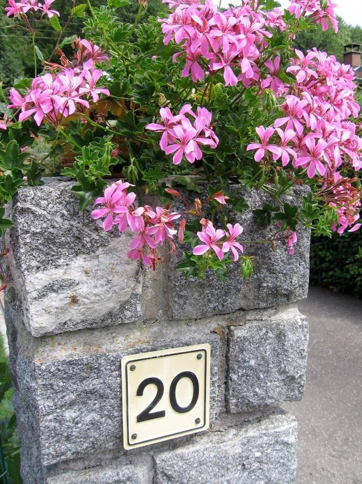 Location de vacances pour 4 personnes, avec sauna ainsi que vue et jardin à Metzeral - 4