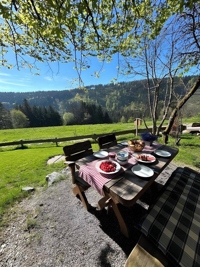 Ferienhaus für 4 Personen, mit Balkon und Terrasse sowie Garten und Ausblick in Falkau (Feldberg)