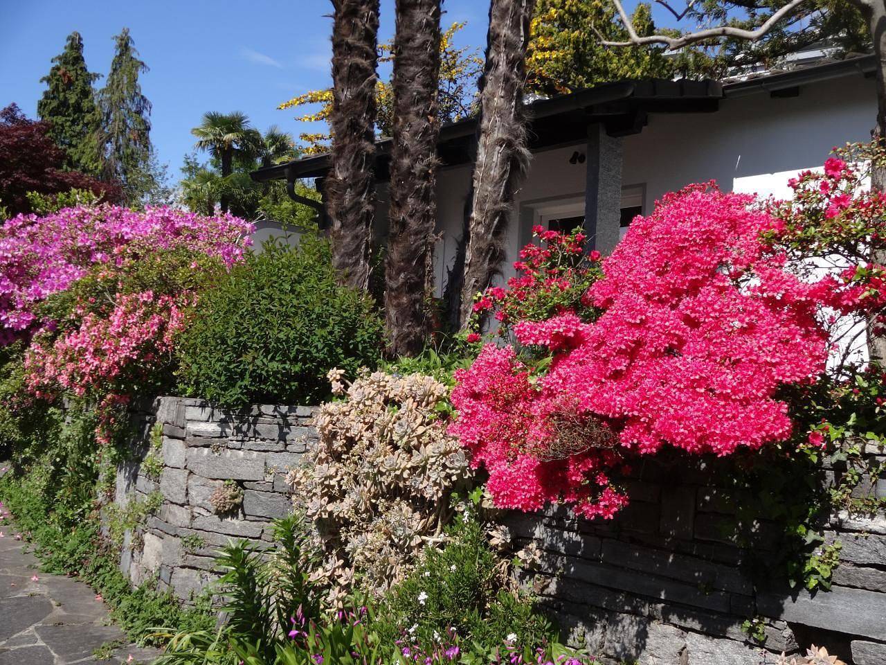 Casa de vacaciones para 4 personas con jardín in Minusio, Alpes Ticineses y del Verbano