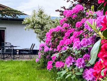 Ferienhaus für 5 Personen in Ribnitz-Damgarten, Vorpommern, Bild 2