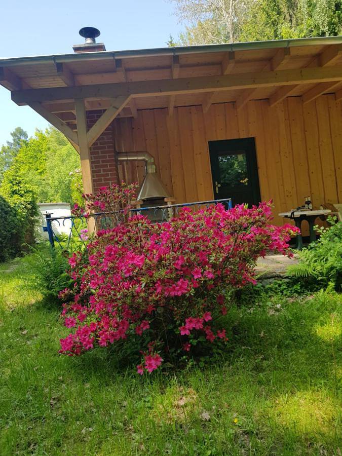 Ferienwohnung für 3 Personen, mit Terrasse und Garten sowie Ausblick in Oelsnitz/Erzgebirge