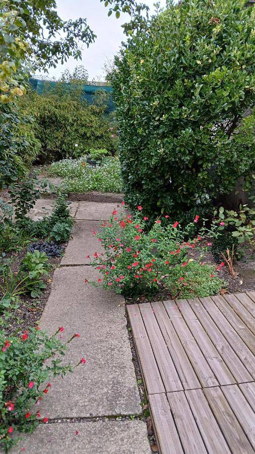Gîte pour 2 personnes, avec terrasse, animaux acceptés à Auxi-le-Château - 3