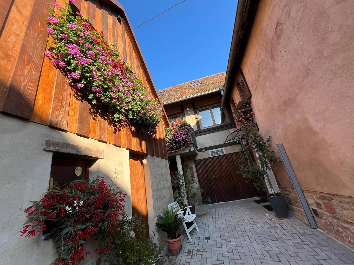 Appartement entier, Duplex Apartment in Ottrott, Bas-Rhin Alsace