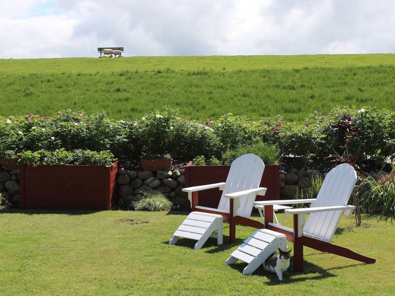 Ganze Ferienwohnung, Holthus - Sonnenaufgang in Kollmar, Kreis Steinburg