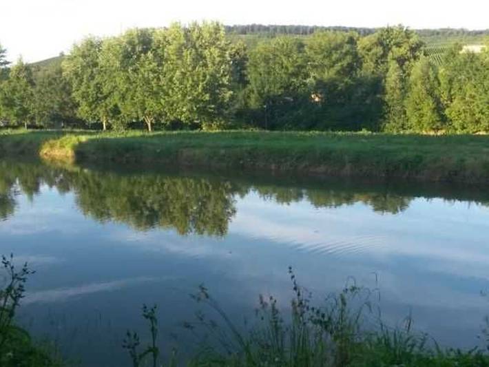 Ferienwohnung für 4 Personen, mit Garten und Ausblick sowie Seeblick in Kurpfalz - 4