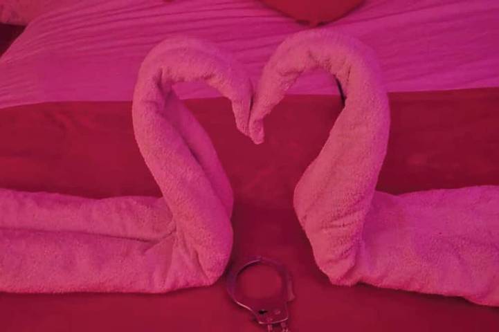 Apartamento entero, Furnished duplex Xcoquine Spa & pool in Tourves, Región Brignoles