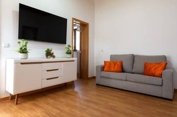 Casa De Férias para 12 Pessoas em Estarreja, Distrito de Aveiro, Foto 4