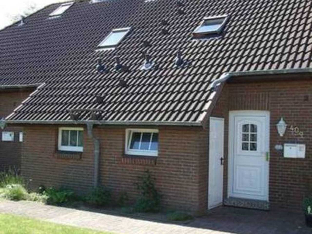 Ferienhaus Haus Blauort - Ferienhaus Blauort in Friedrichskoog-Spitze, Friedrichskoog