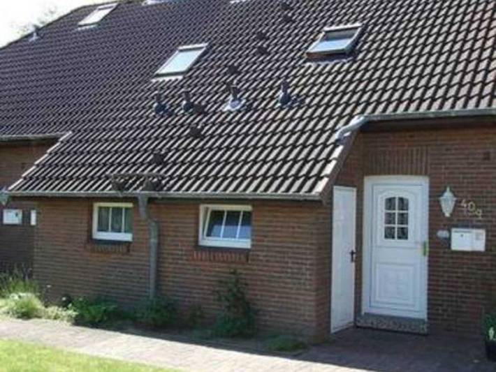 Ferienhaus Haus Blauort - Ferienhaus Blauort in Friedrichskoog-Spitze, Friedrichskoog