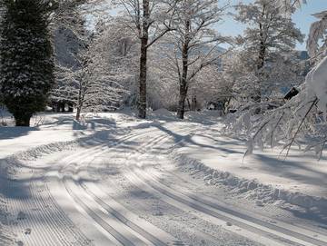 Hotel für 2 Personen in Kreuth, Alpenland Tegernsee Schliersee, Bild 1