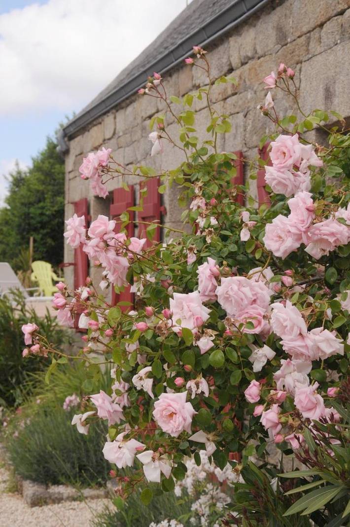 Chambre d’hôte pour 2 personnes, avec vue ainsi que piscine et jardin à Combrit - 3