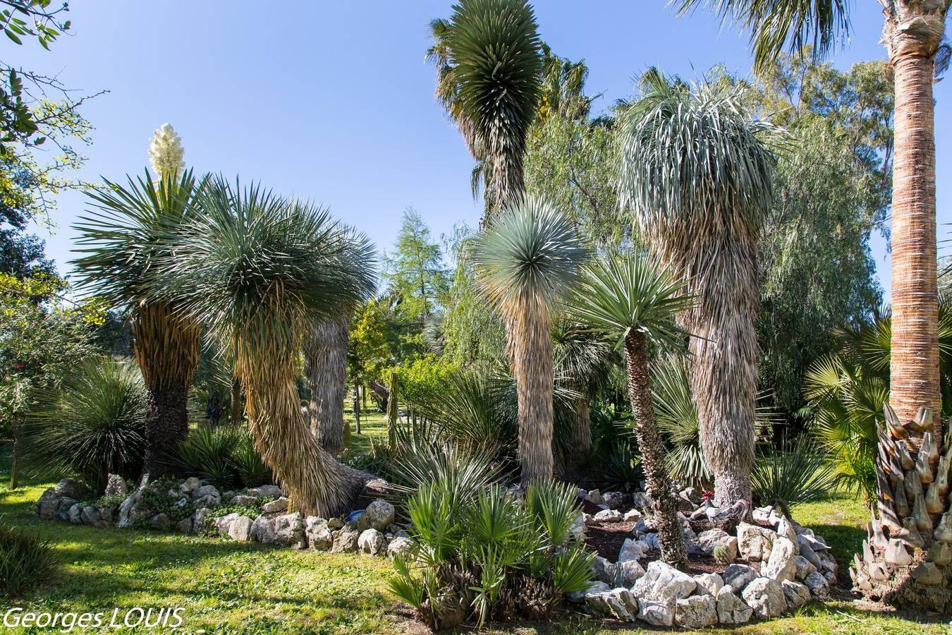 Gite au jardin Nartettes, Climatisé, indépendant, Parking clos. in Hyeres, Région de Toulon