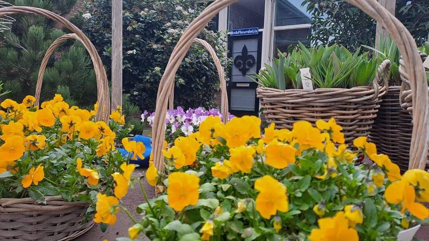 Gîte pour 2 personnes, avec vue et jardin à Lisse - 2