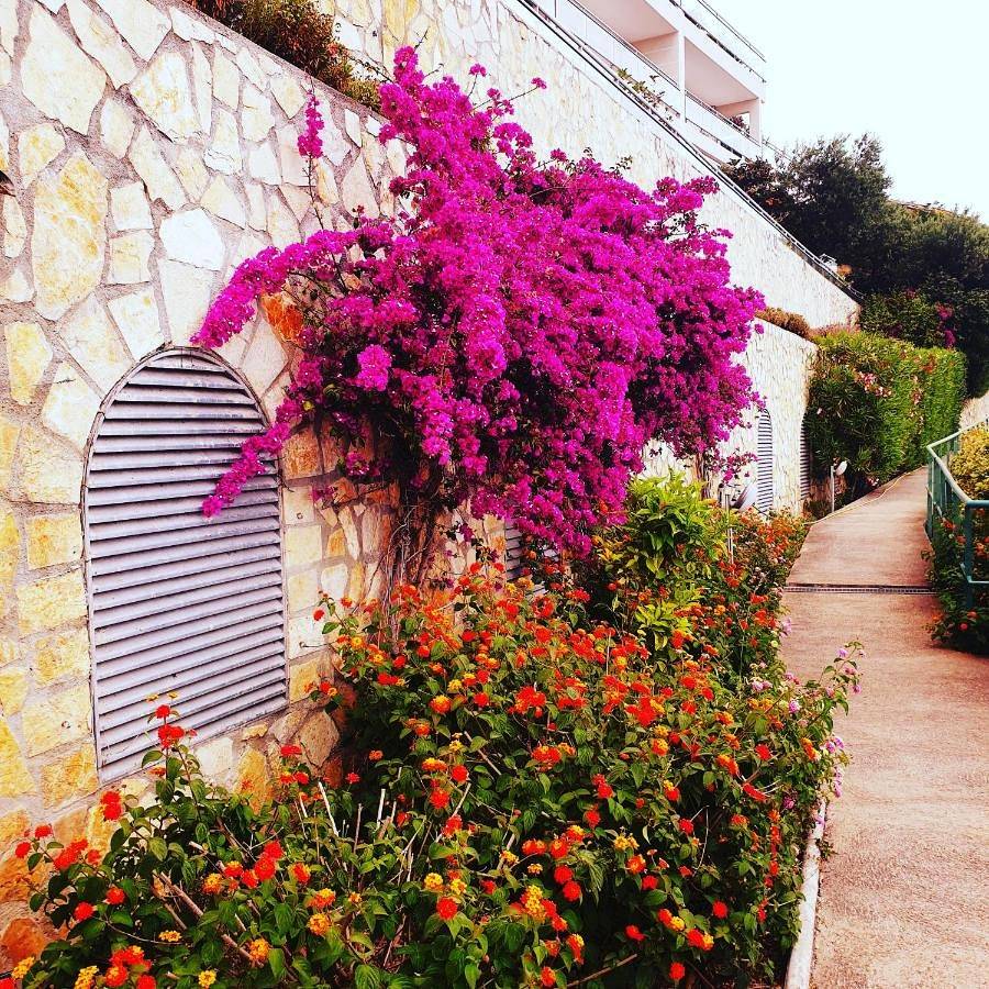 Ολόκληρο το διαμέρισμα, Apartment in Καπ-ντ'Άιγ, Mediterranean Coast (France)