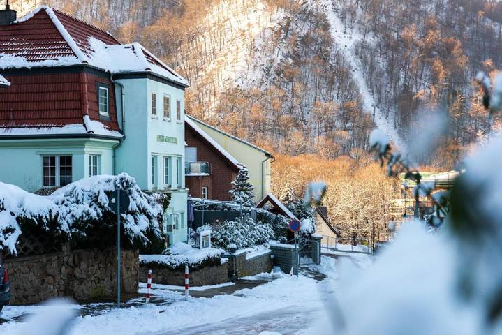 Maison d’hôte pour 25 personnes, avec vue et jardin dans Saxe-Anhalt - 4