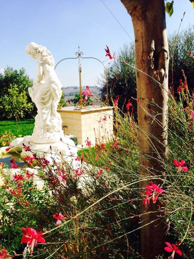 Single Room with Shared Bathroom in Ostra, Ancona Provinz