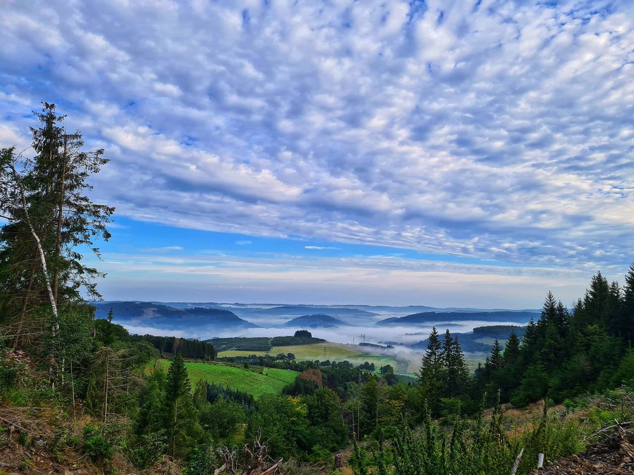 Ganze Wohnung, Ferienwohnung Talblick mit Balkon,Kamin,Wlan,toller Aussicht und eingezäunter Hundewiese in Bestwig, Hochsauerlandkreis